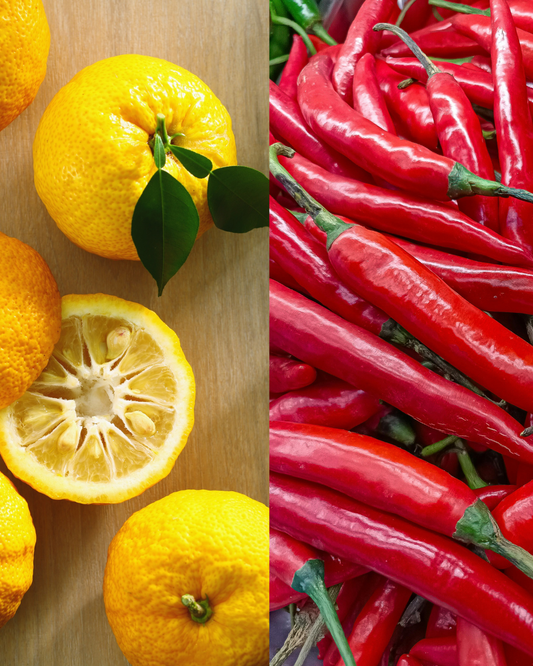 Yuzu Kosho: A Japanese-Style Chili Paste That Fits Where Others Don’t