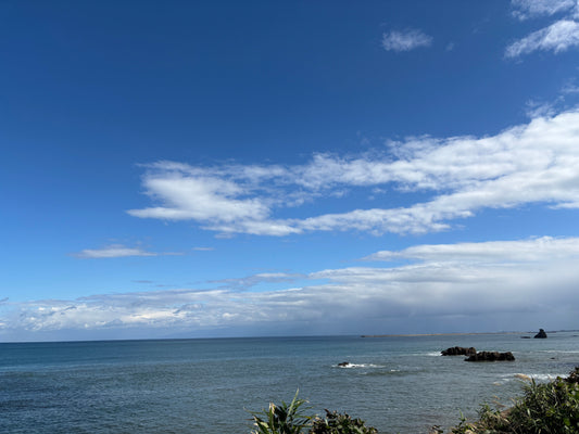 Balancing Body and Mind Through Miso: The Quiet Strength of Echū Miso