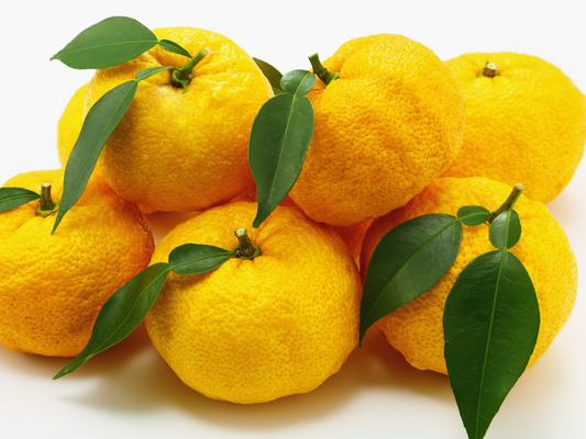 Yuzu - Japanese citrus