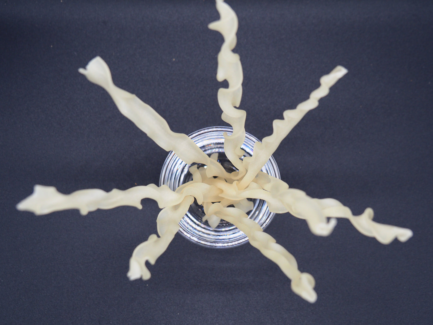 【PLUS】  GLUTEN FREE RICE PASTA (fettuccine) 80g